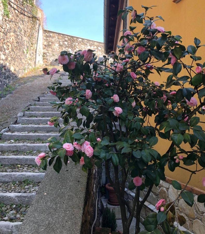 B&B Alle Scalette Trissino エクステリア 写真