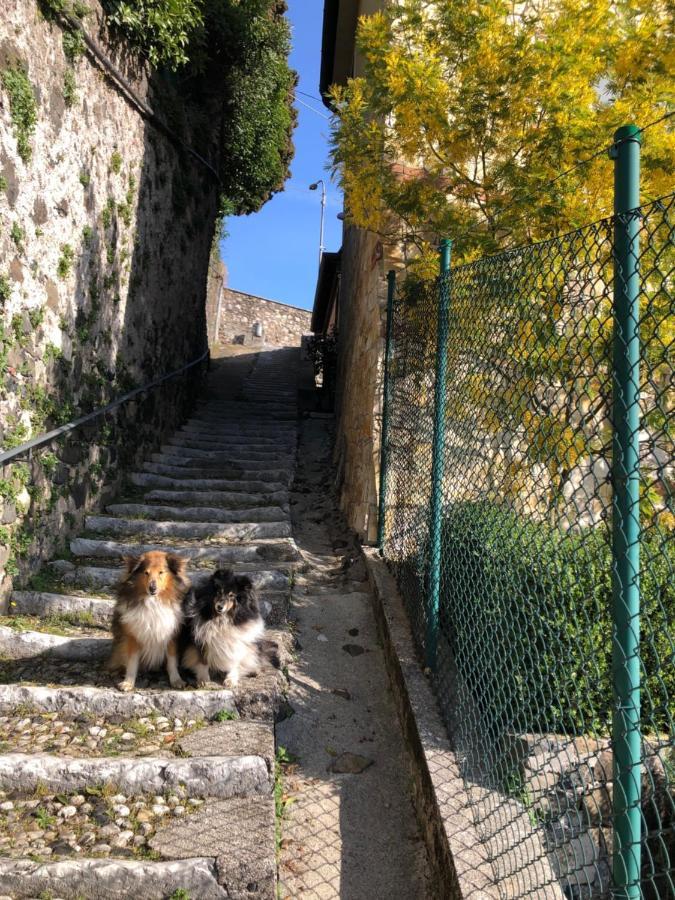 B&B Alle Scalette Trissino エクステリア 写真